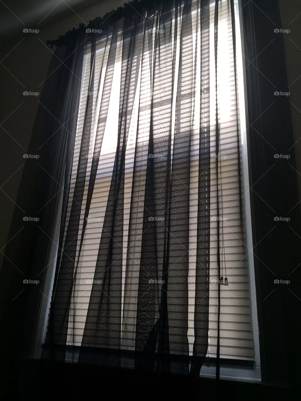 Window 