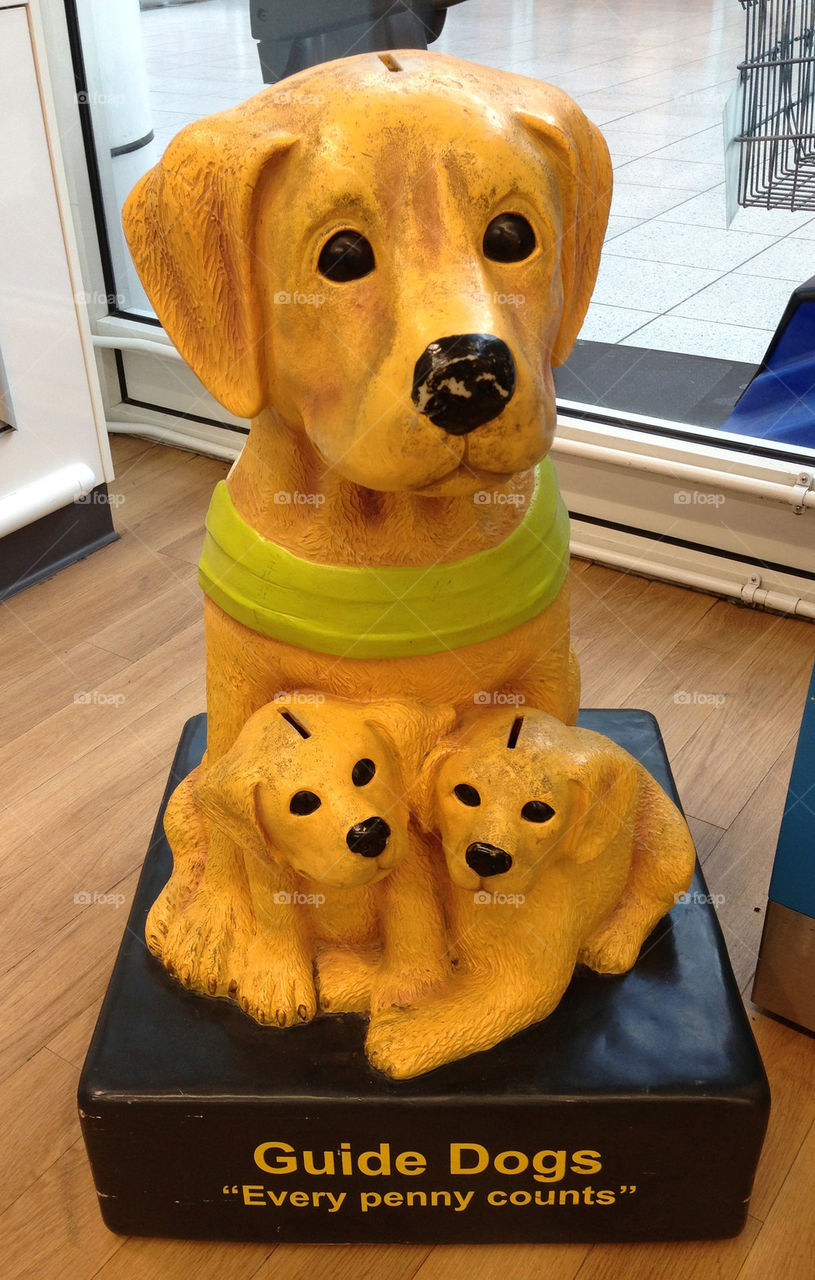 Charity collection for Guide Dogs