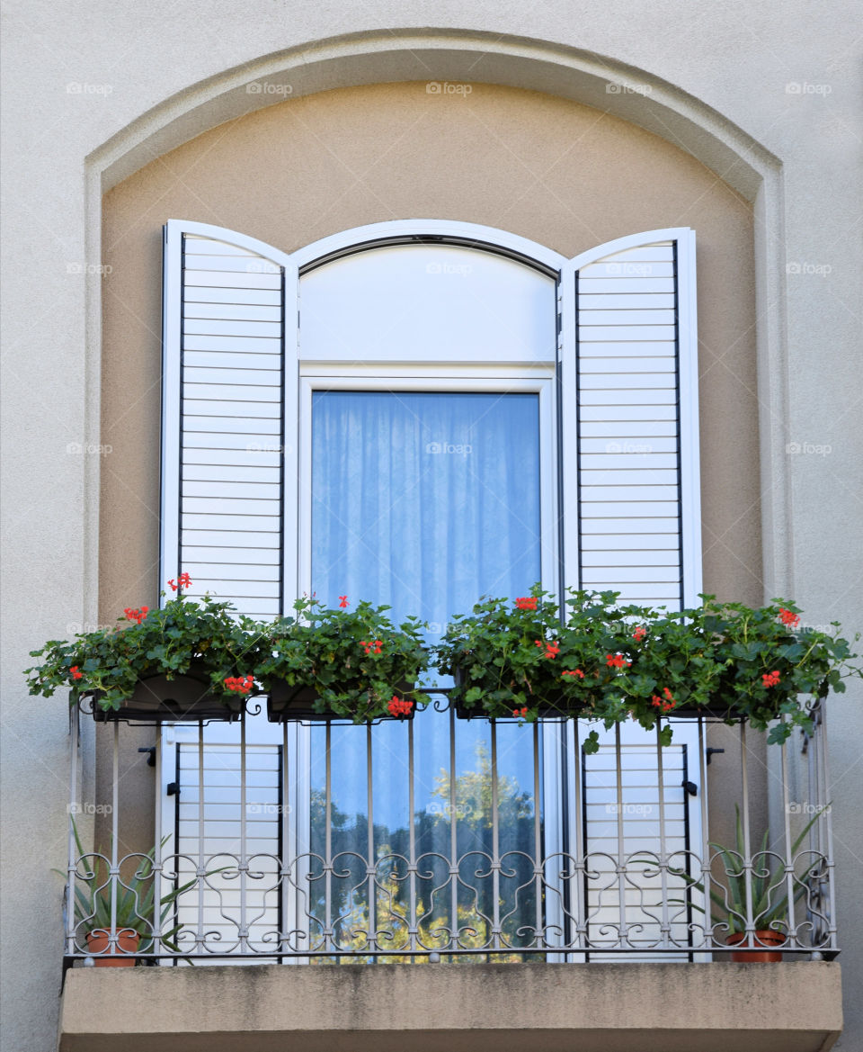 Flowers blooming on window façade