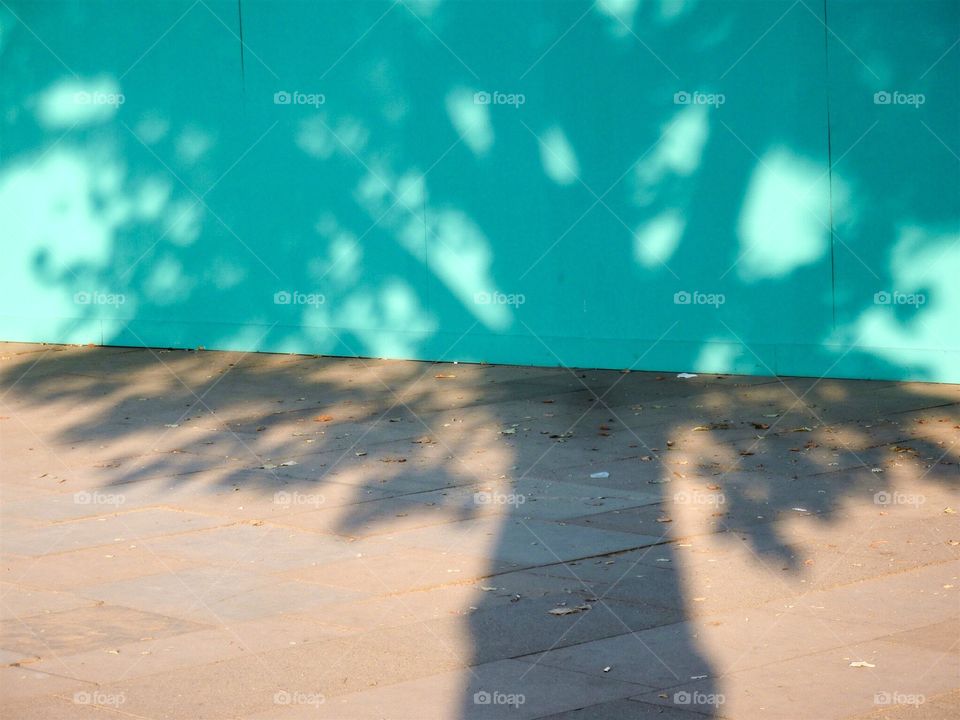 Tree shade. London, Southbank 