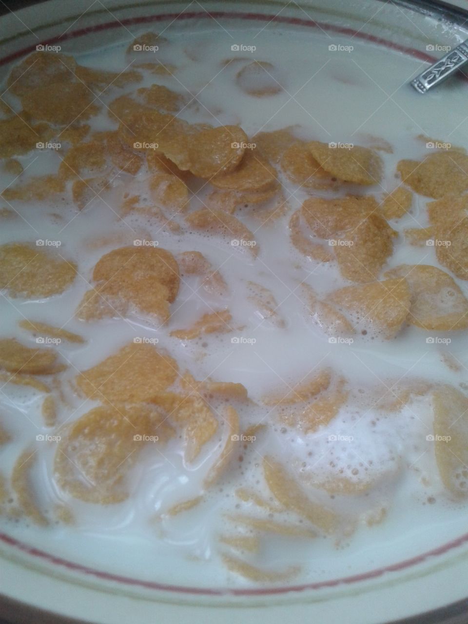 cereal