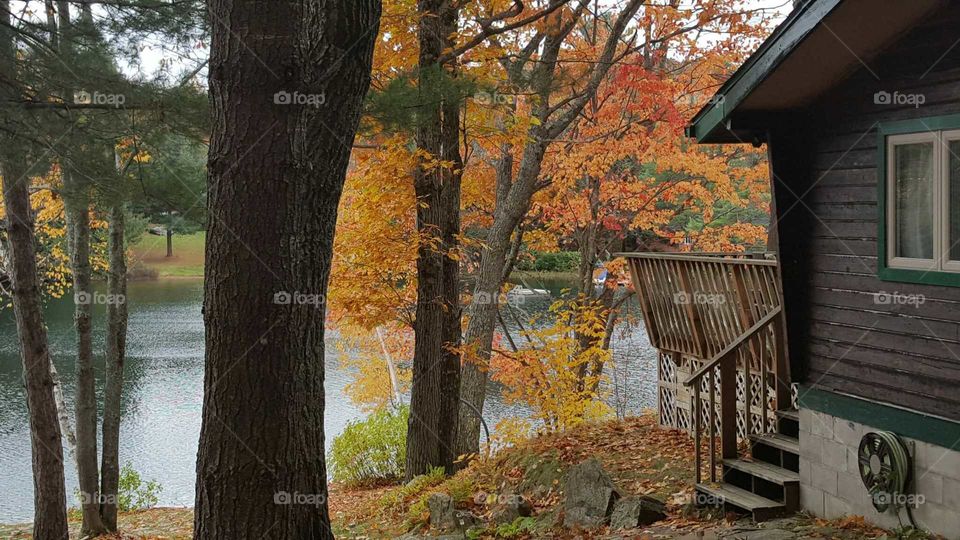 northern ontario canadian cottage