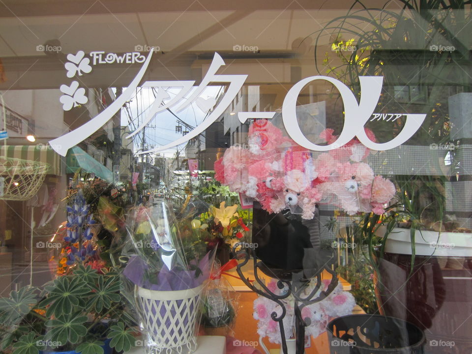 Nakameguro, Tokyo, Japan.  Japanese Flower Shop, Carnation Poodles Flower Arrangement in Shop Window Display