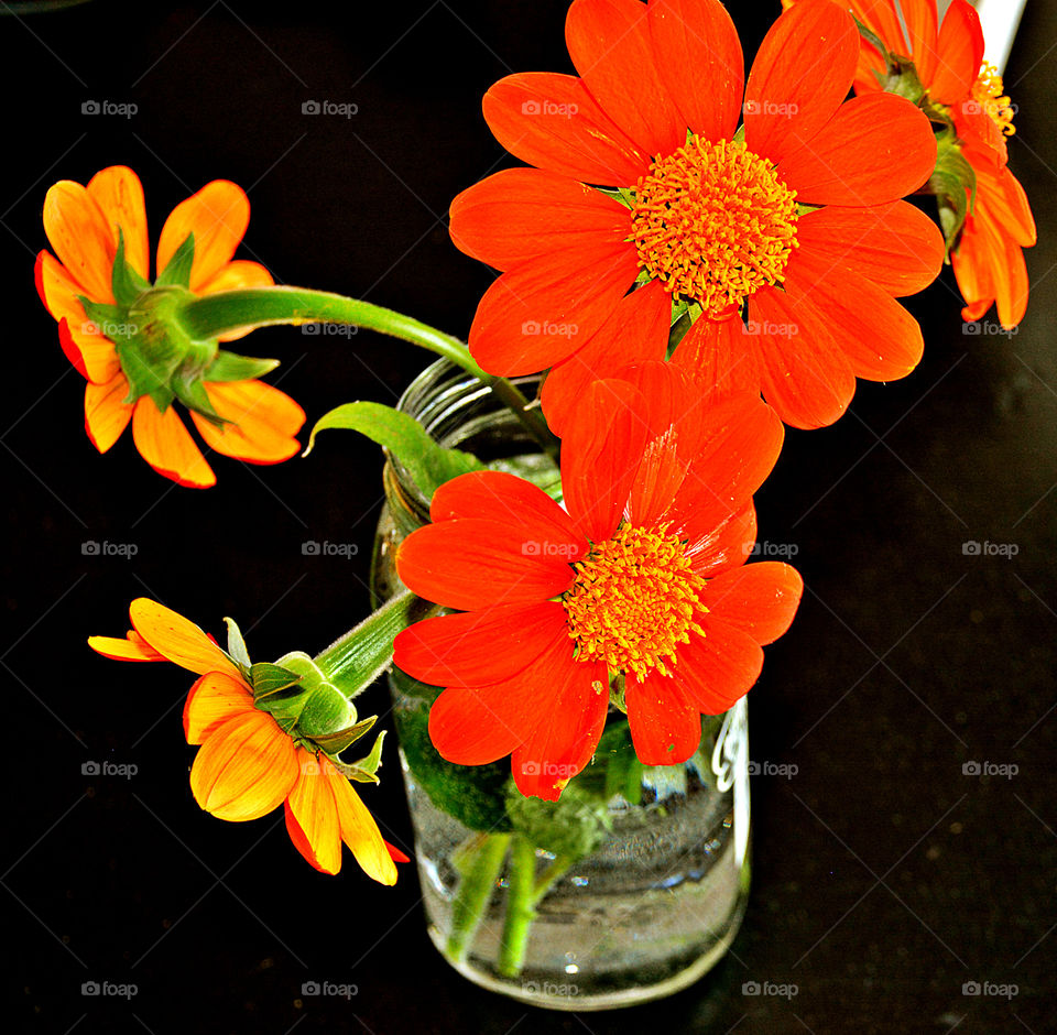 Flowers of jar with black background