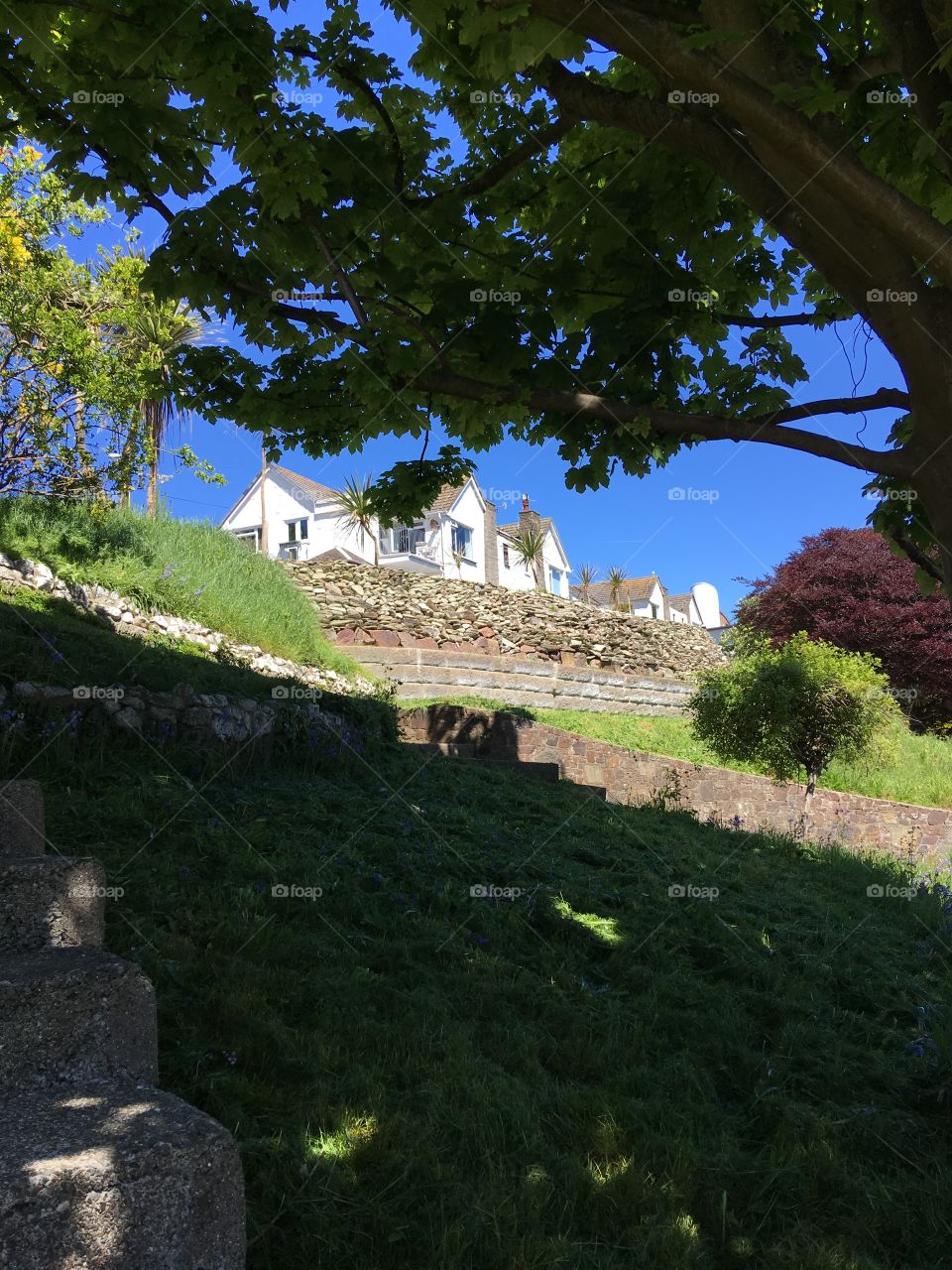 No Person, Travel, Architecture, Tree, Ancient