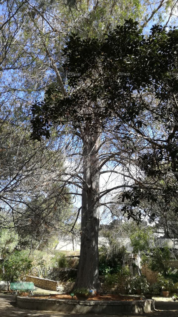 inside botanical garden