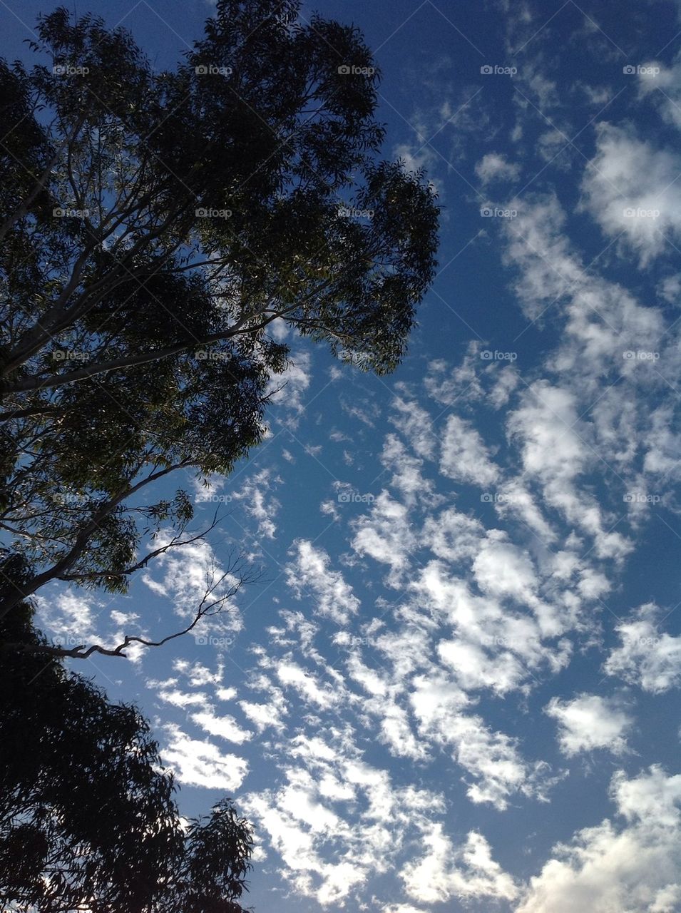 sky blue outdoors colors by king