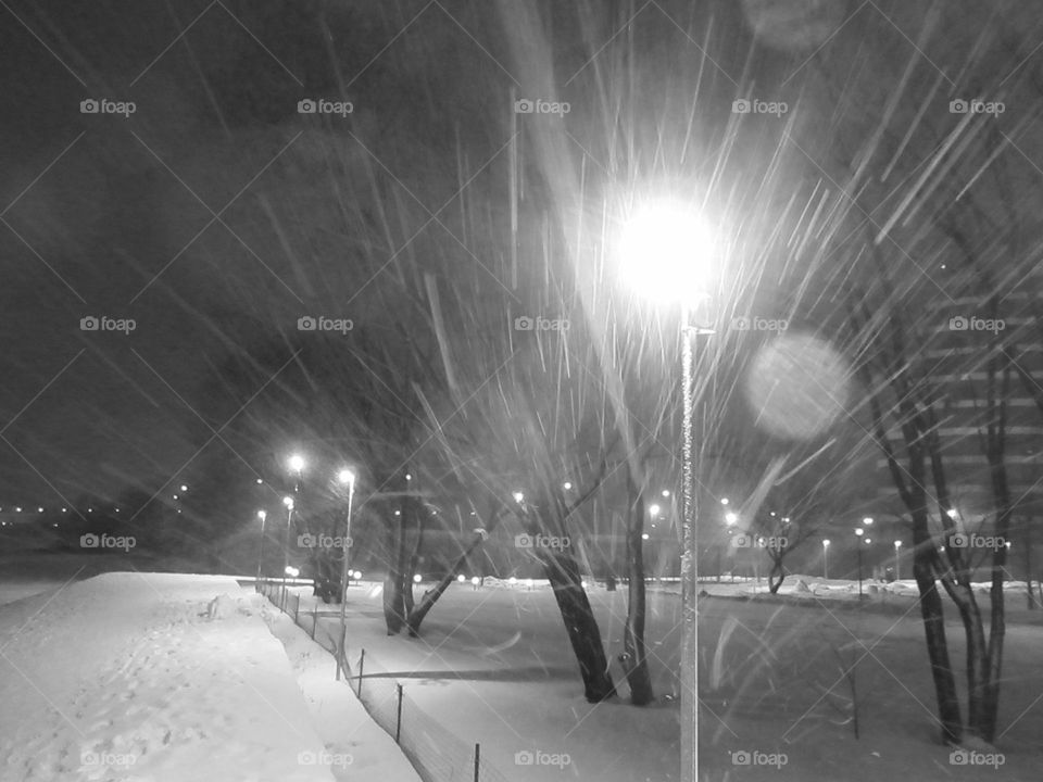 black and white winter