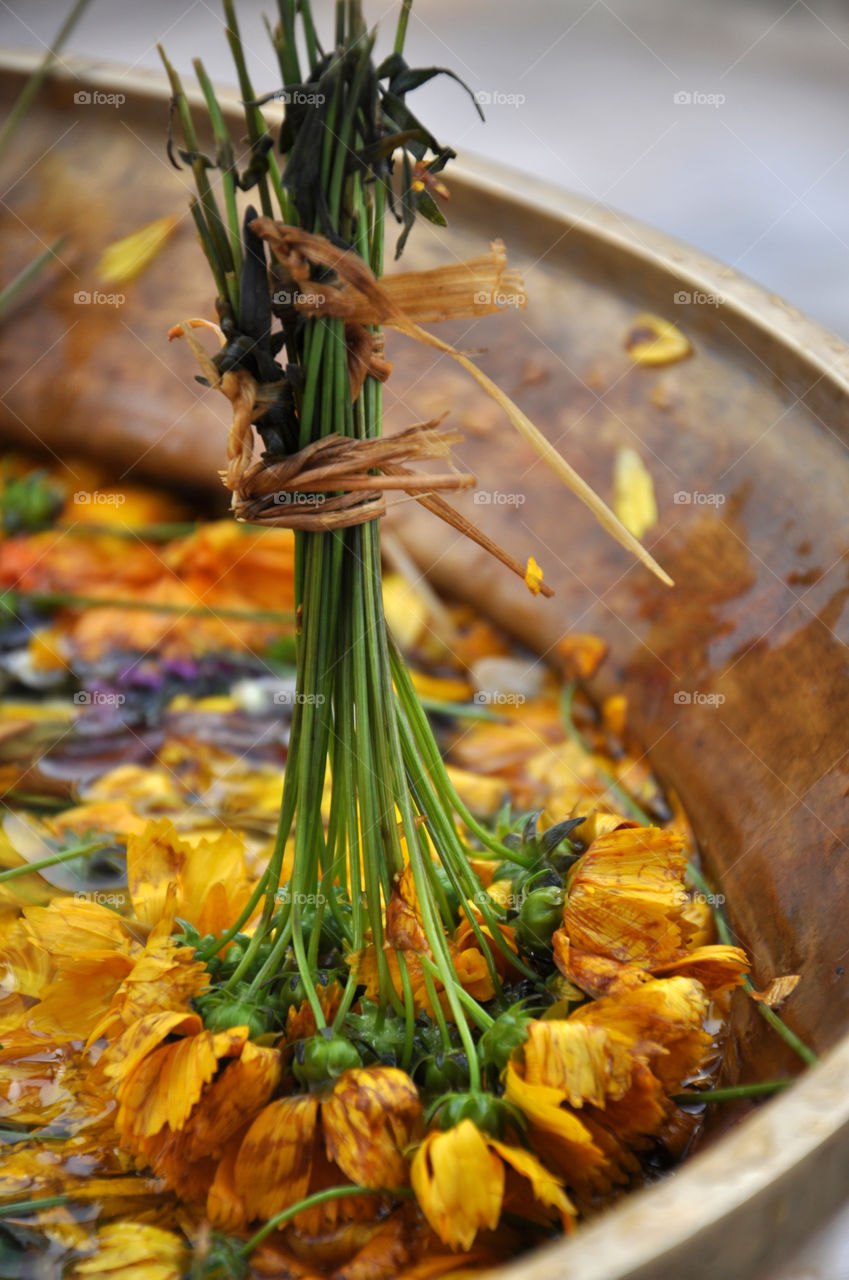 yellow flowers in a bowl