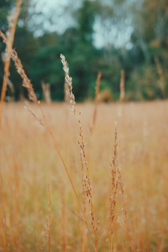 Focus on one grain at a time #beautiful #landscape #nature #tones #moody