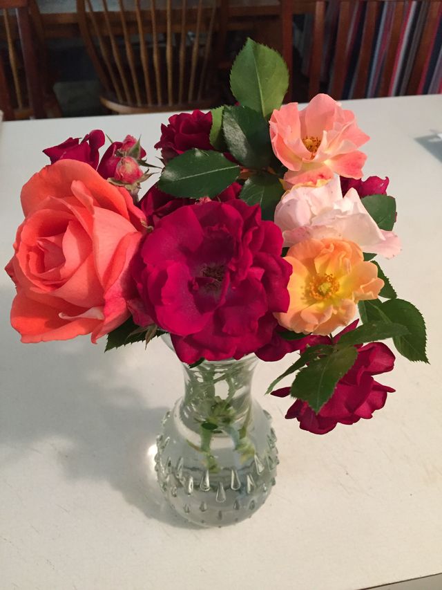 From my garden 