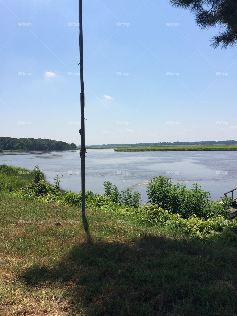 No Person, Tree, Water, Landscape, Nature