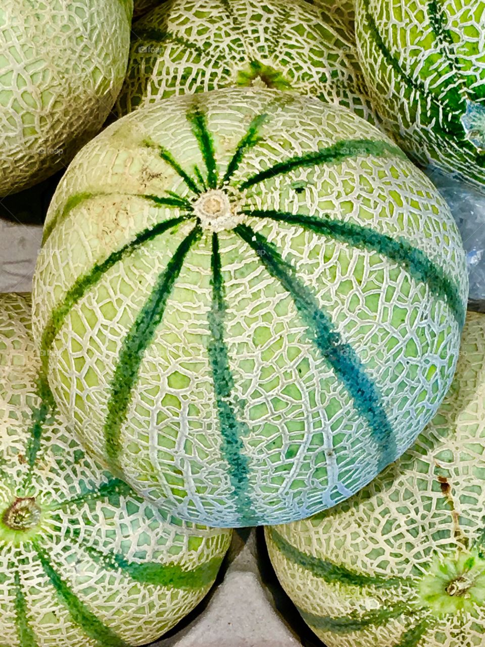 Green Melon 