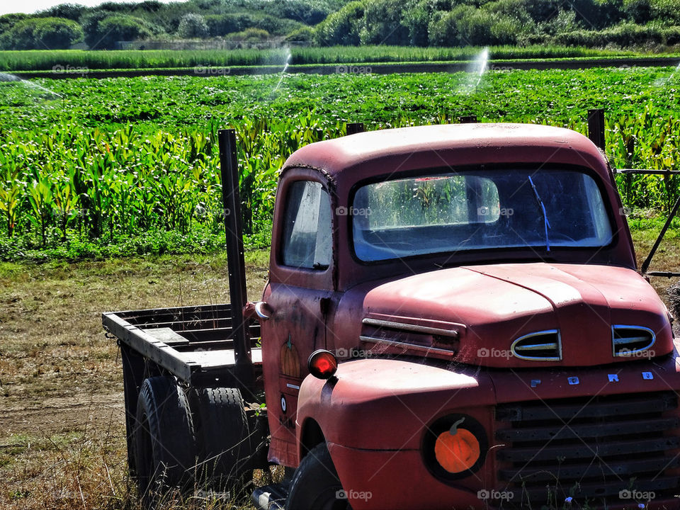 Old rusty truck on a California farm