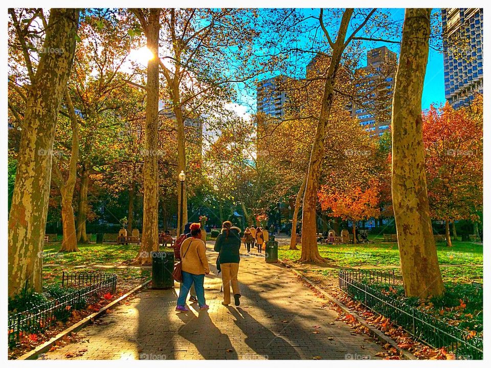 Fall in Rittenhouse Square