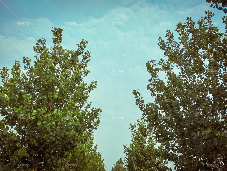 it's a best landscape photo