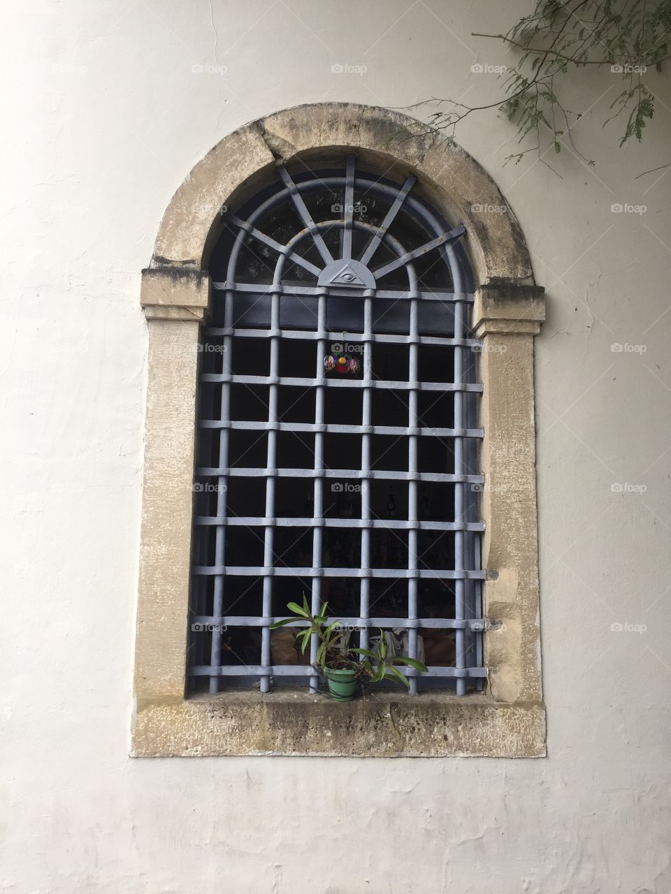 Window, Recife
