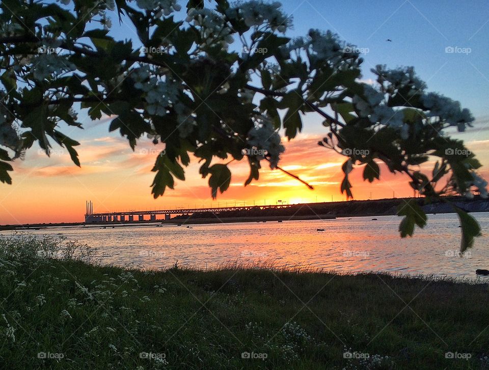 Öresundsbron in sunset 