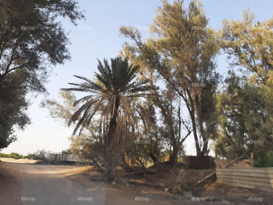 Please make me happy, I am poor, I need your help with support