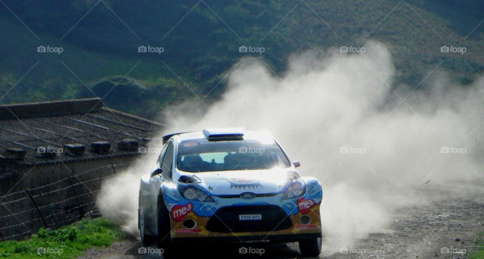 WRC Italia Sardinia 2011 ford fiesta