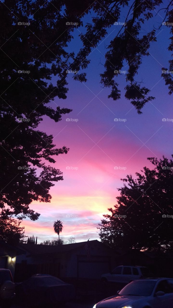 sunset in Sacramento