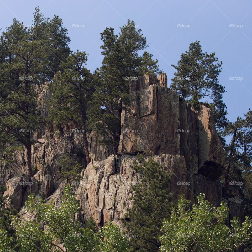 No Person, Nature, Outdoors, Tree, Rock