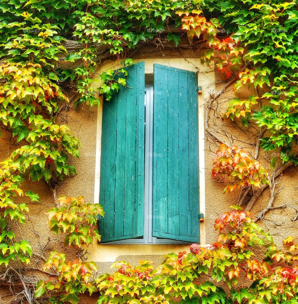 Window France 