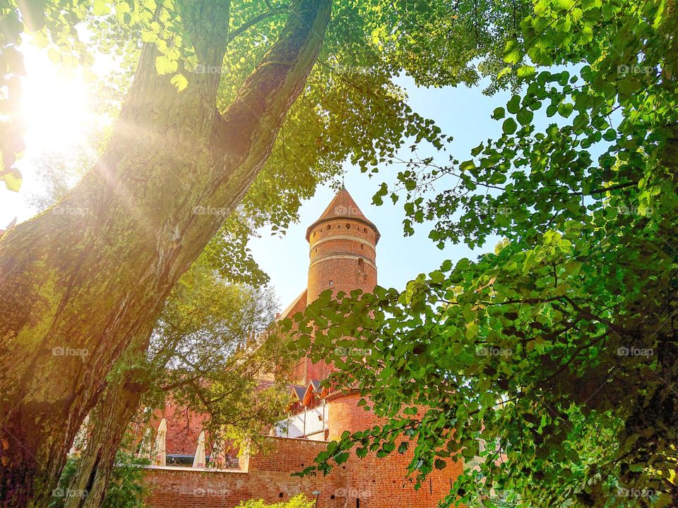 Castle in Olsztyn, Poland