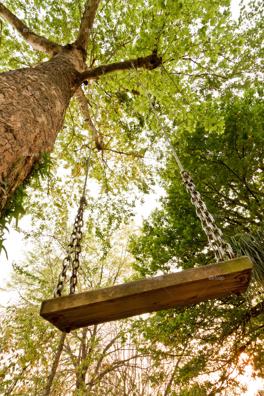 Looking up at a swing and big tree through the eyes of a child. Wooden swing on tree. Summer fun for kids. Adventure