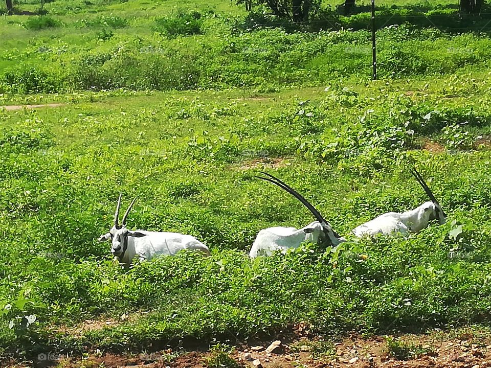 How much do you like this photo