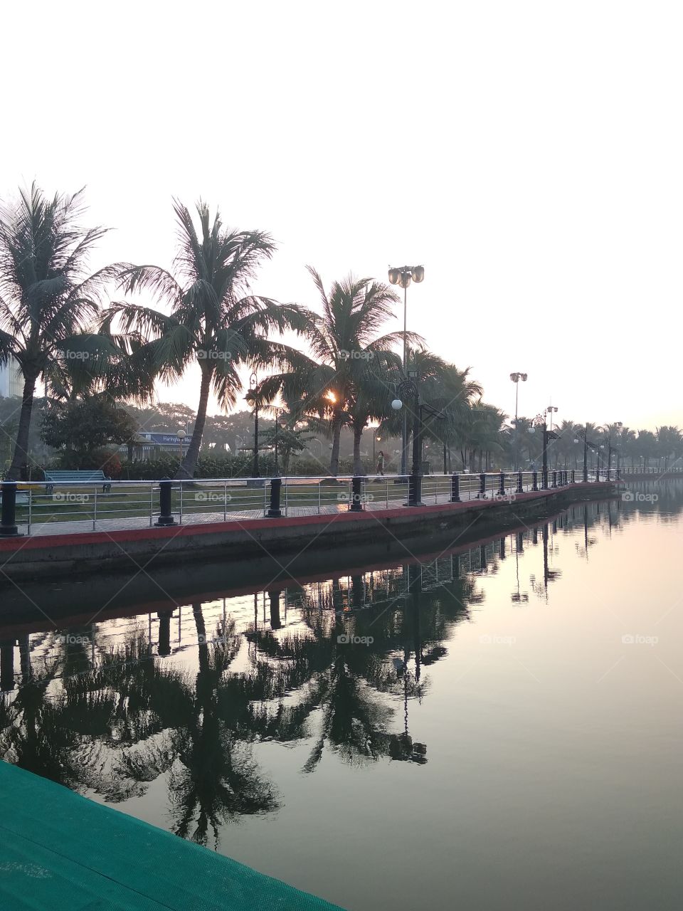 water nature in garden