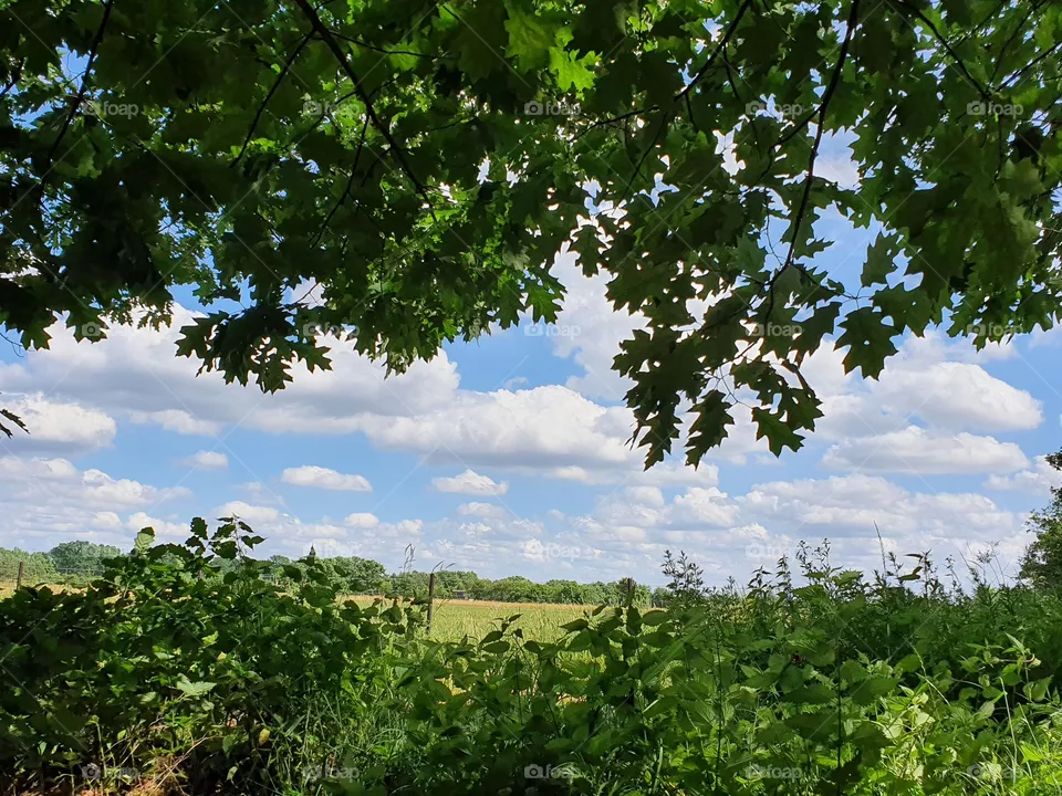View, Aussicht