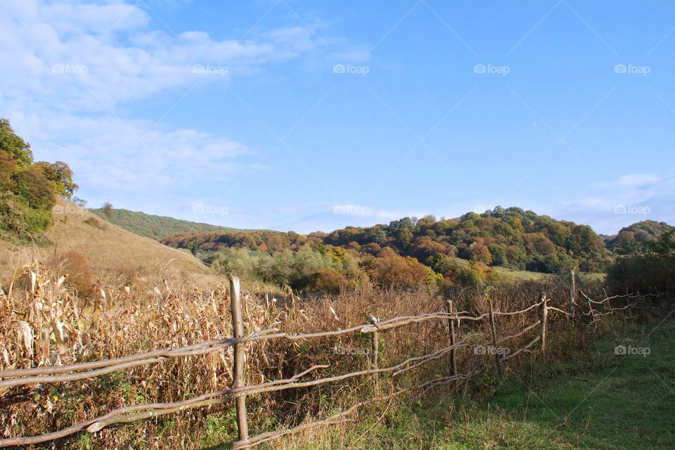 autumn countryside