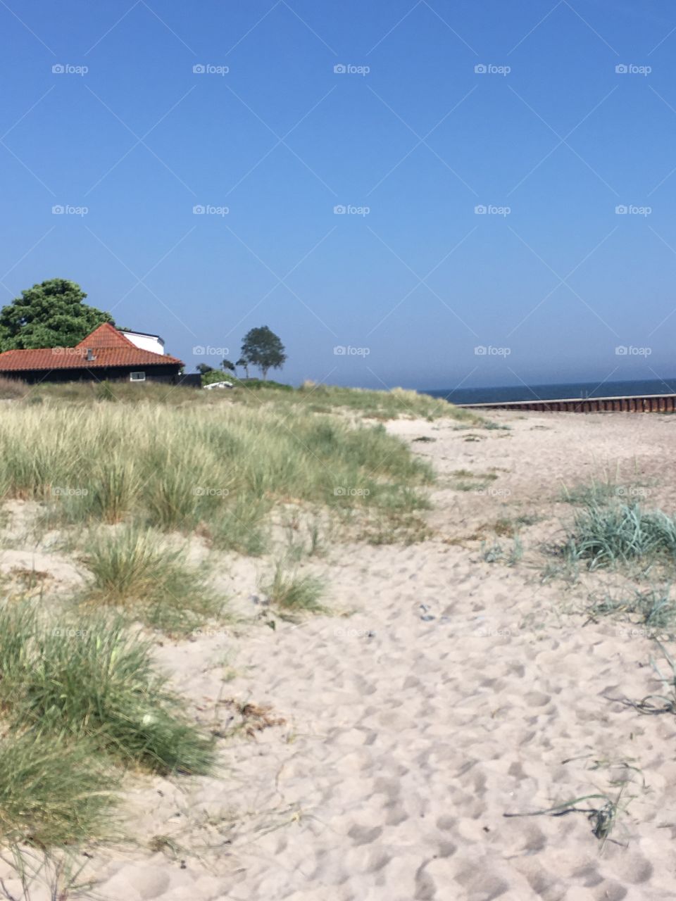 sunny day at the beach