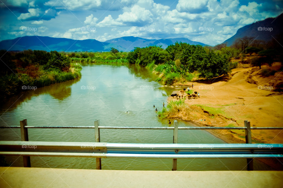 view from the bridge 