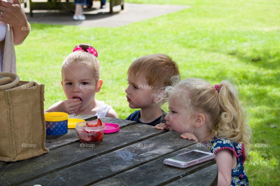 Picnic time