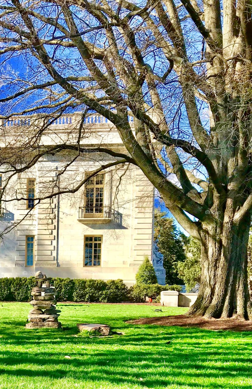 Stacking stone trying to be tall next to the massive tree