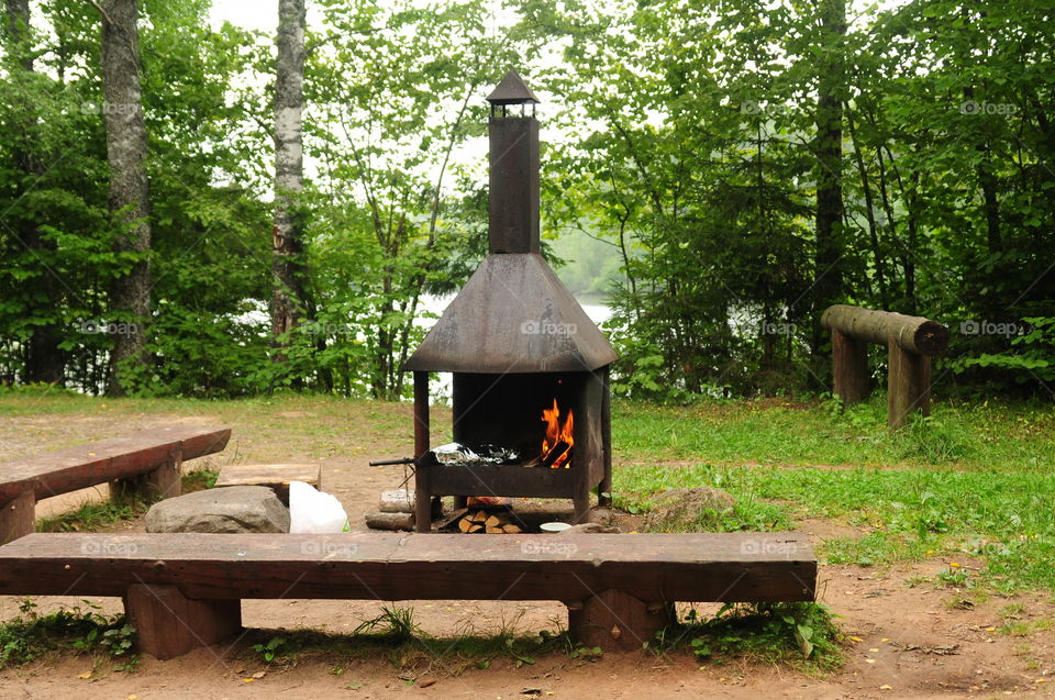 Picnic in the forest