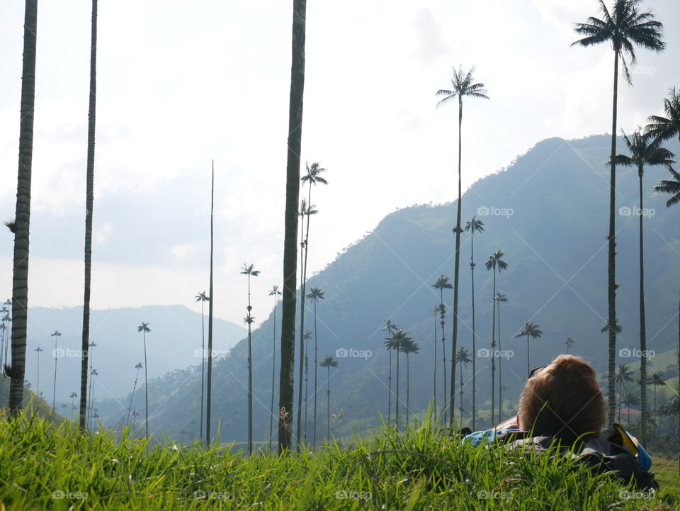 A man relaxing among huge wax palm trees in Cocora Valley, Colombia