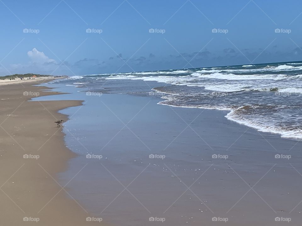 South Padre Island TX