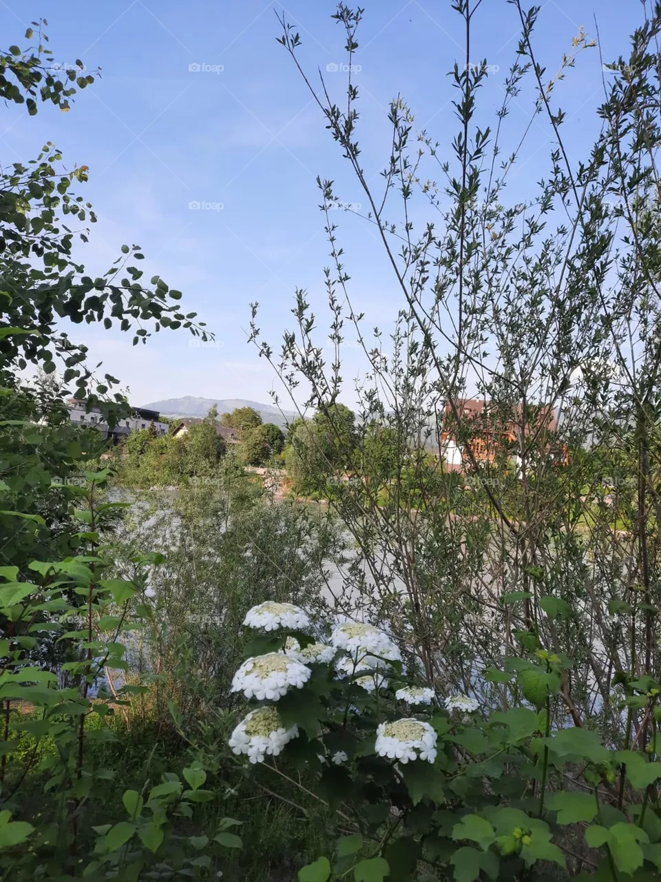 Natur