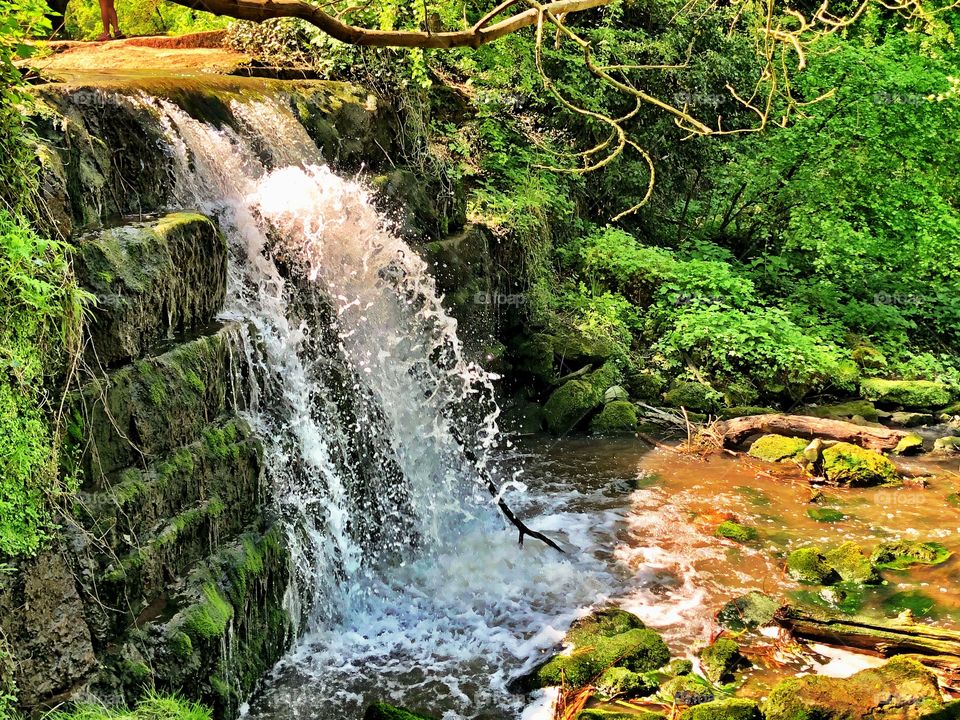 Woodland waterfall on a sunny day