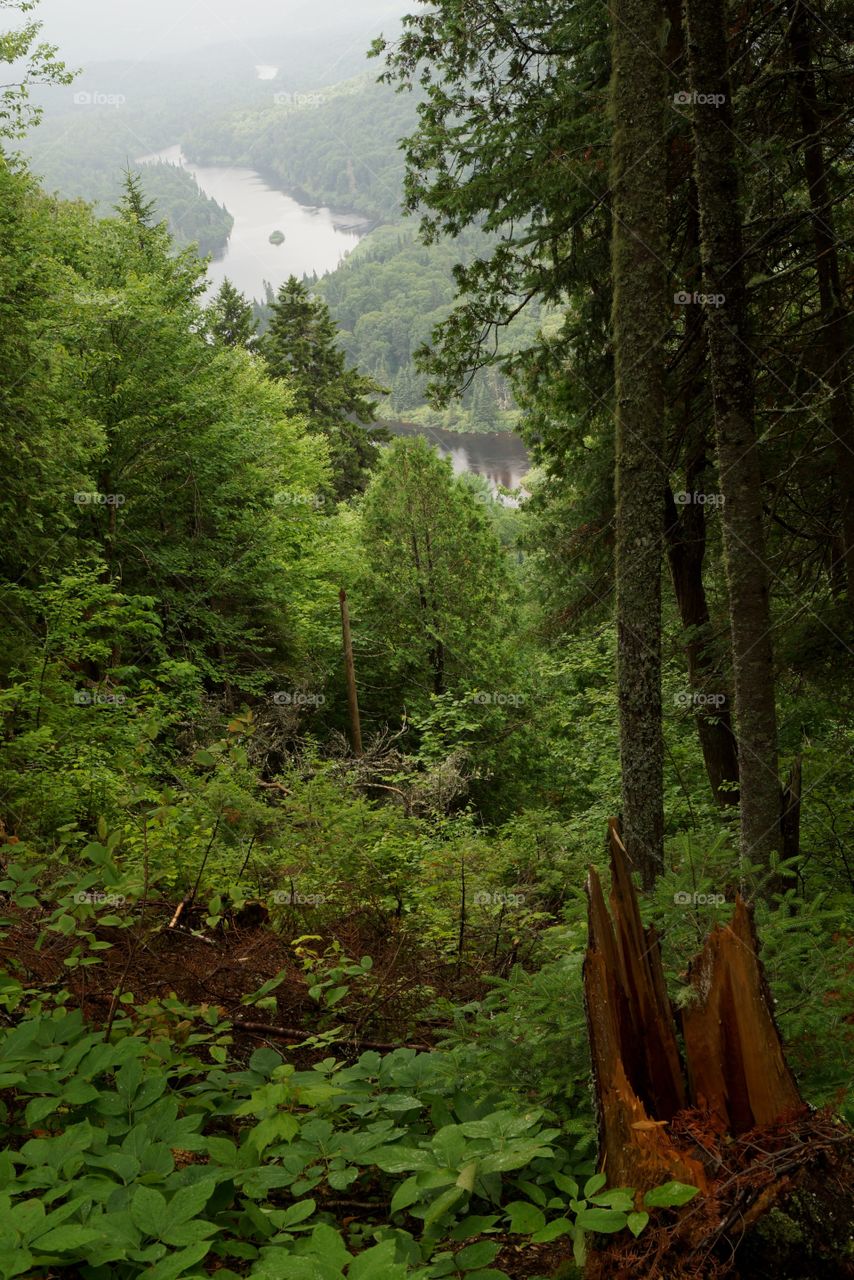 Parc de la Jacques-Cartier (Québec, Canada)