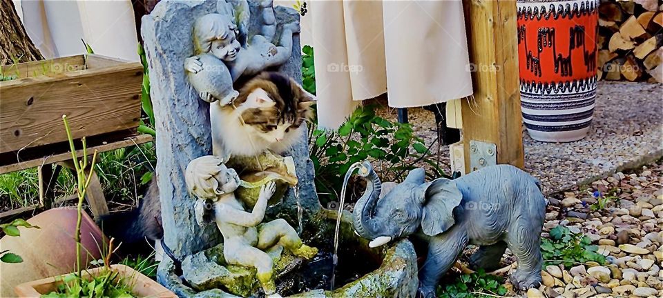 This is a new toy for “Linda”, the cat in “Bavaria”, Germany: a miniature fountain with an angel and an elephant sculpture and a hole behind the well big enough for her to stick her head through and play with the water. 2024. Hypnotic Productions