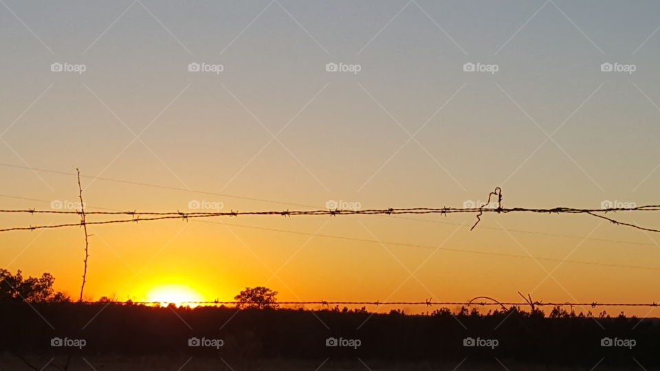Barbed wire sunset