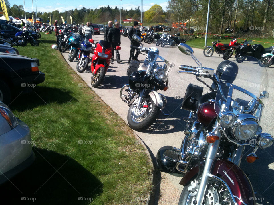 sweden road sunshine meeting by zebra