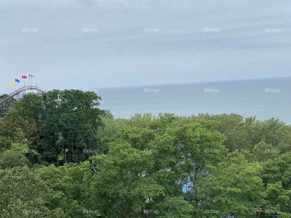 What a view 