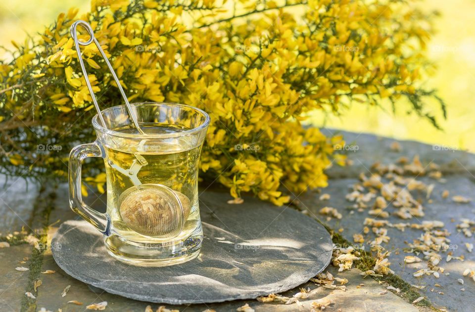 Bright yellow gorse flowers with gorse tea.