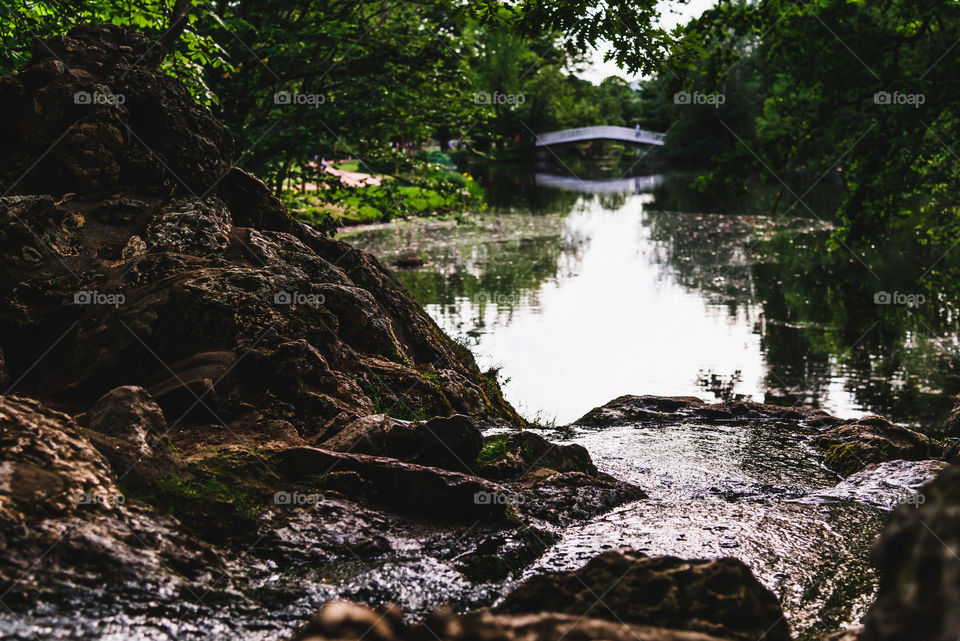Reflection of trees on river