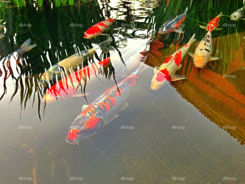 green spring fashion nature by itsAus